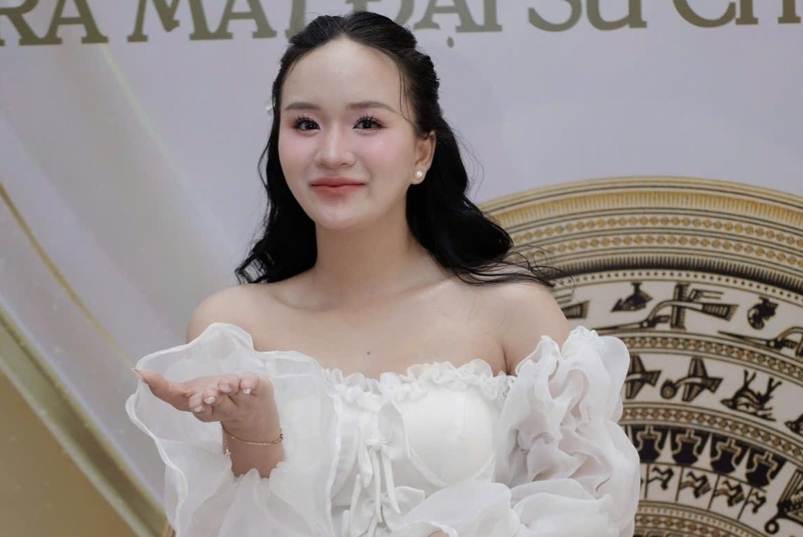 A khoi Phuong Linh vua bi tam giu la ai? hinh anh