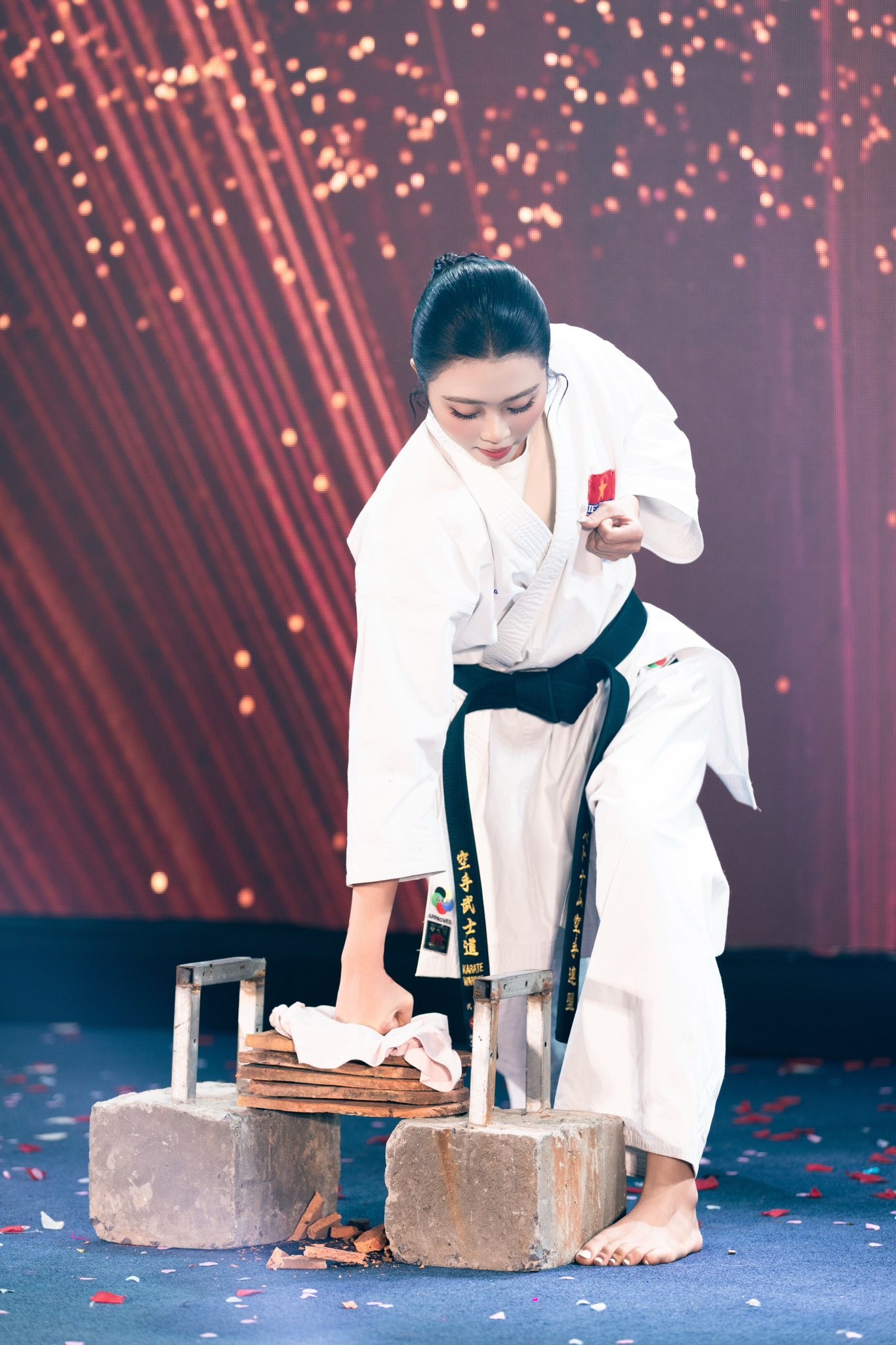 miss world vietnam anh 2