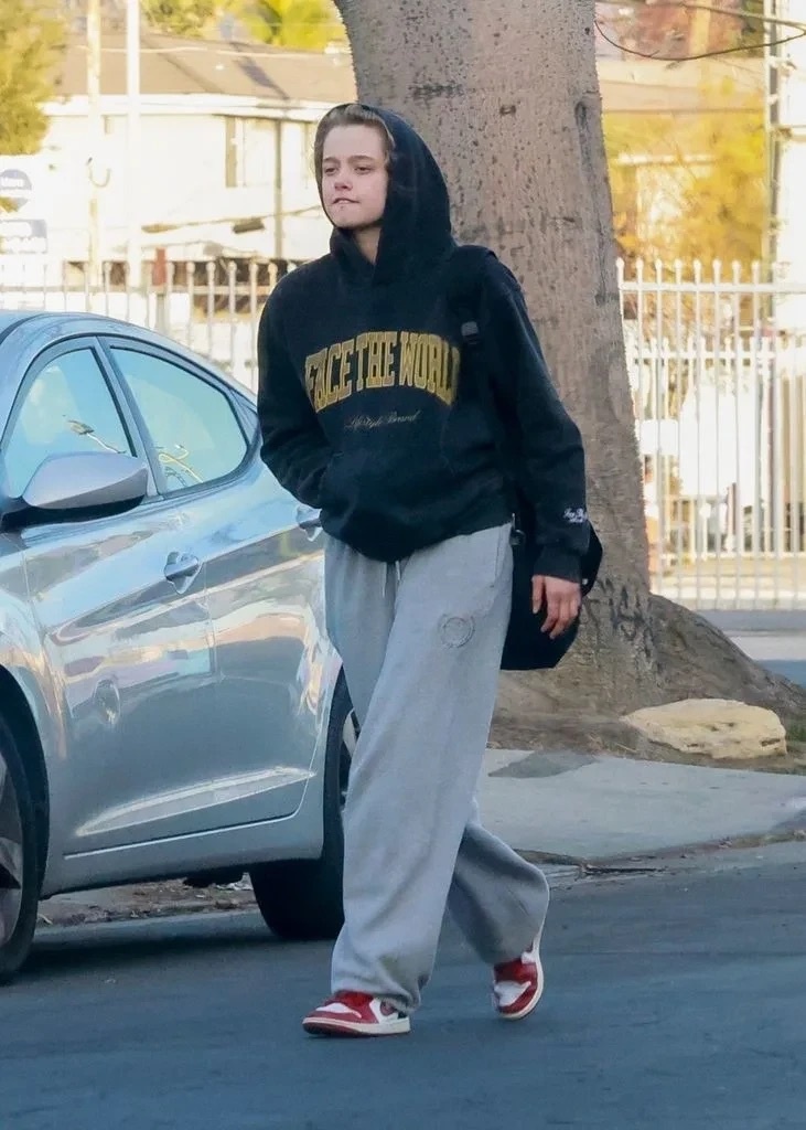 Angelina Jolie anh 6