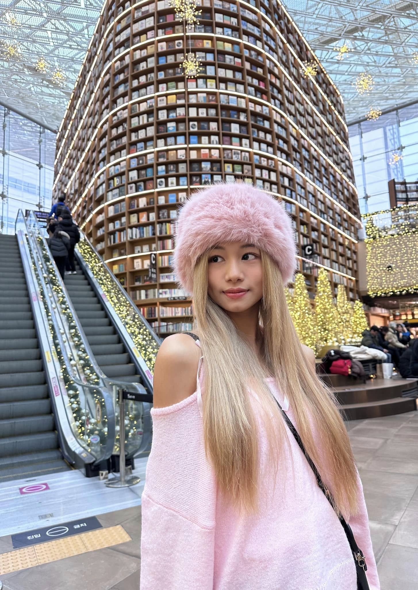 ngân hòa ảnh 9 ngan hoa anh 9