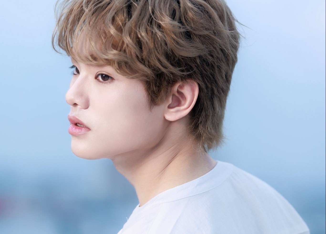 Nhac Viet van hon loan? hinh anh