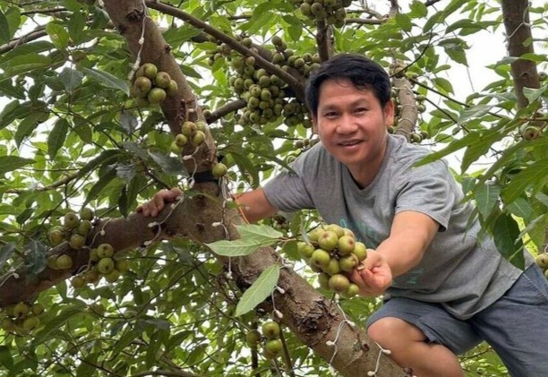 'Ong hoang nhac do' me lam nong, co nha vuon rong 4.000 m2 hinh anh