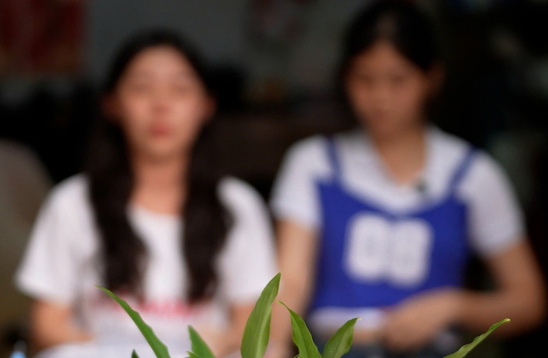 Ca si Viet 15 tuoi: ‘Toi hoang so moi khi giam doc doa dam' hinh anh