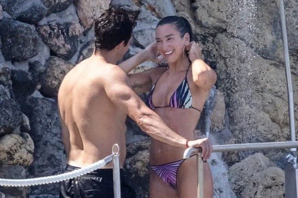 Ca si Dua Lipa va chong tinh tu hinh anh