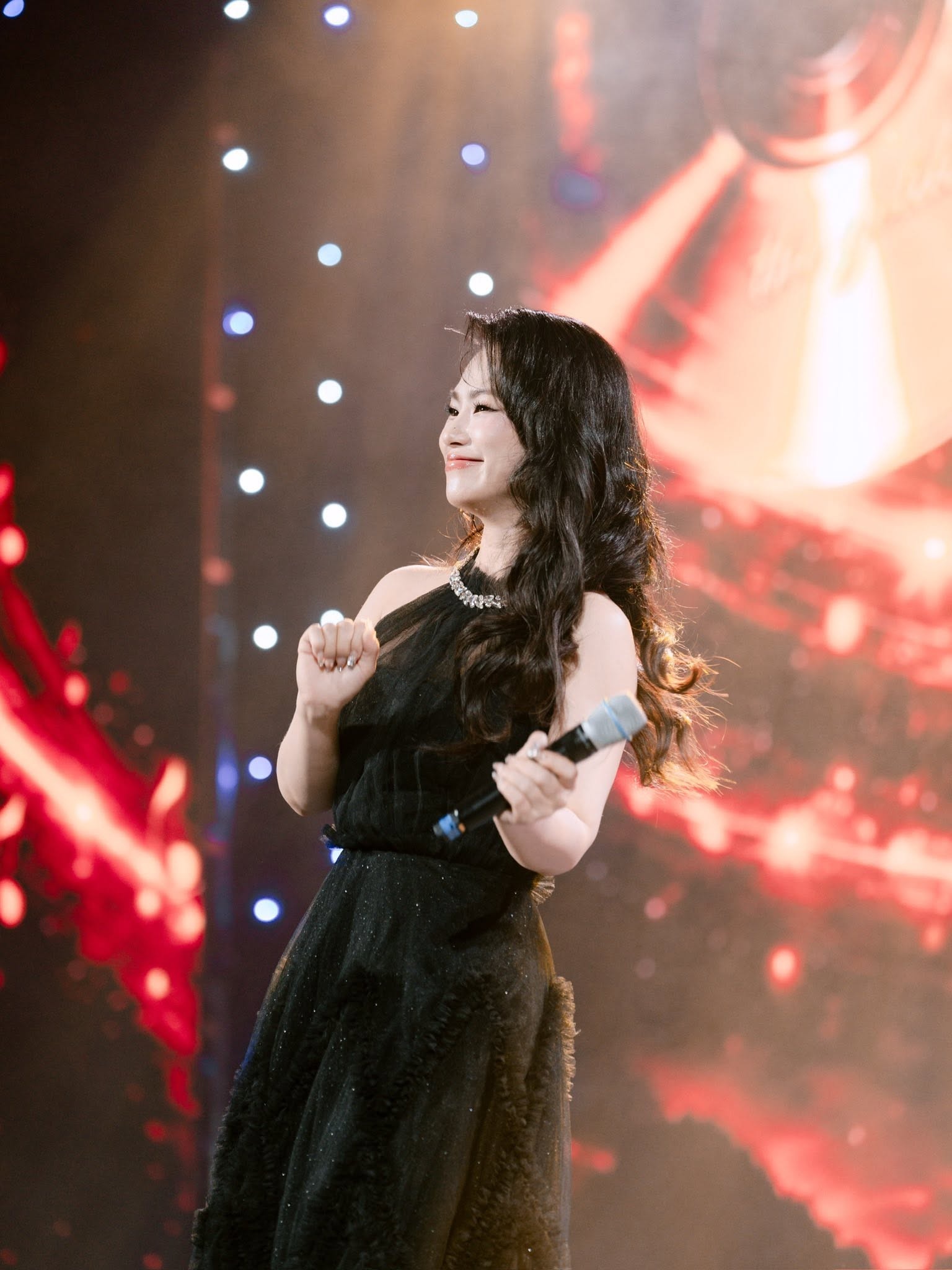 Luong Bich Huu anh 9