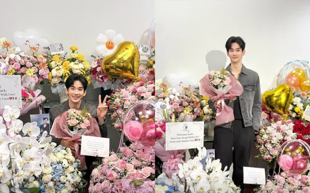 Kim Soo Hyun  ảnh 1