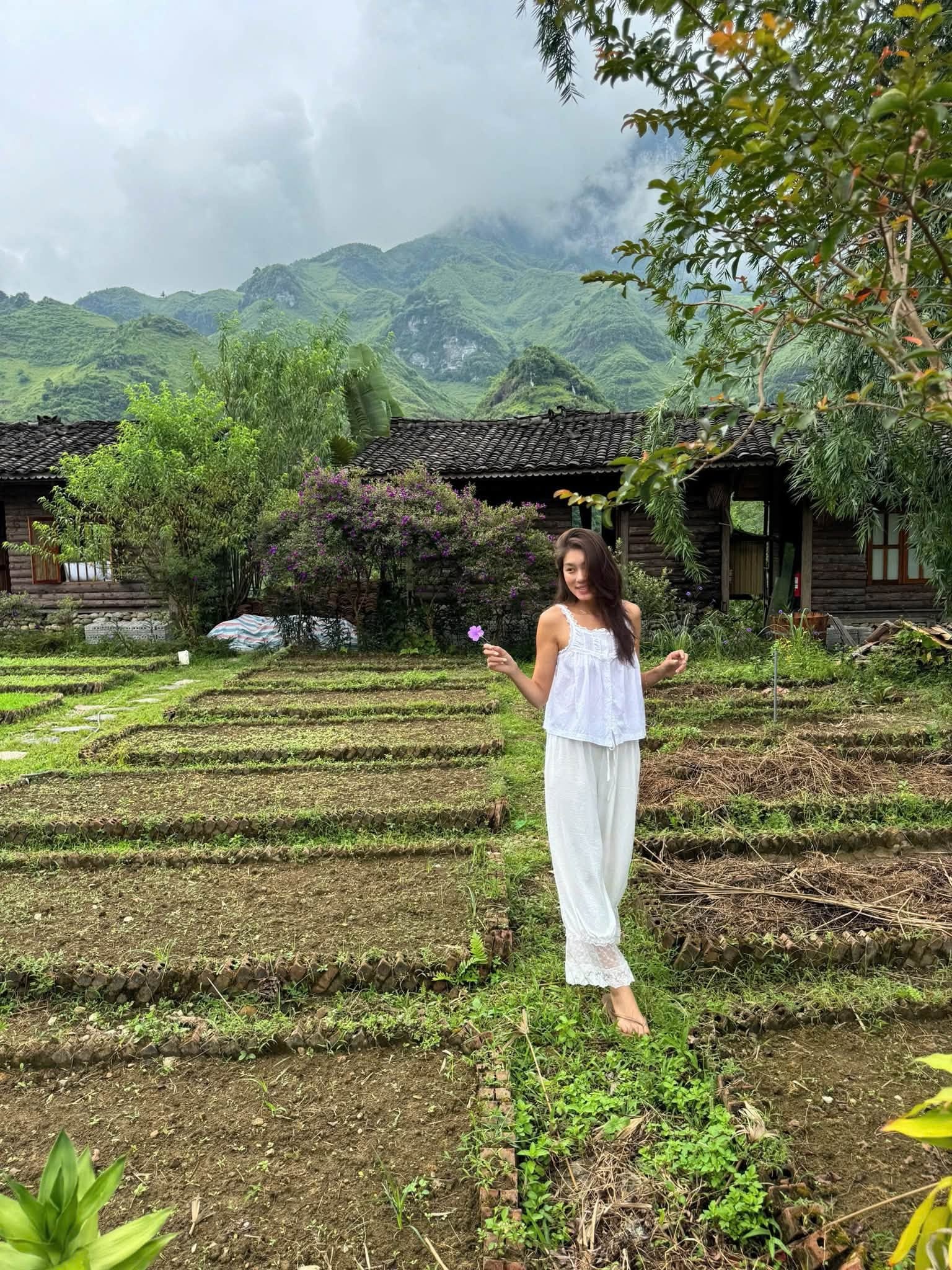 thảo nhi ảnh 3