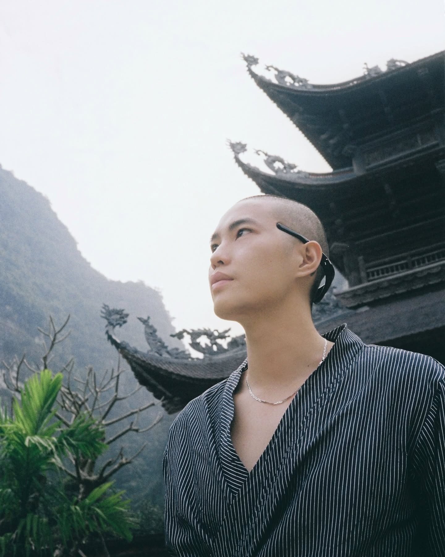 Đăng Trần ảnh 10