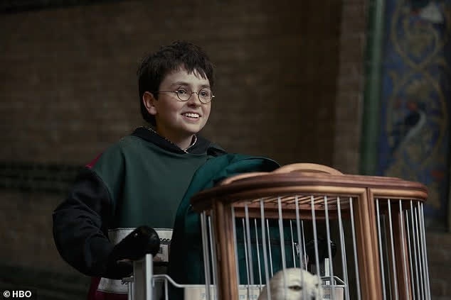 Harry Potter ảnh 1