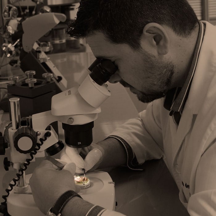 đồng hồ Tây Ban Nha ảnh 11 dong ho Tay Ban Nha anh 11