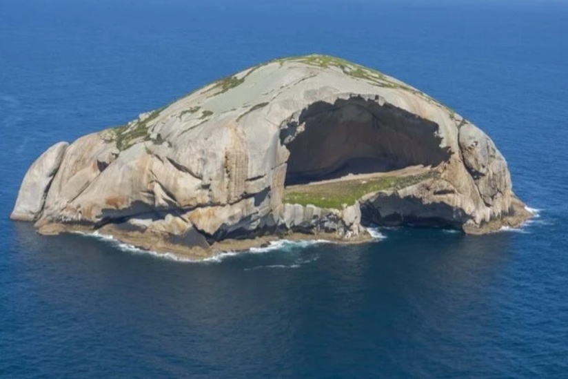 Dao dau lau co doc co suc hut la ky, chi 9 nguoi tung dat chan toi hinh anh