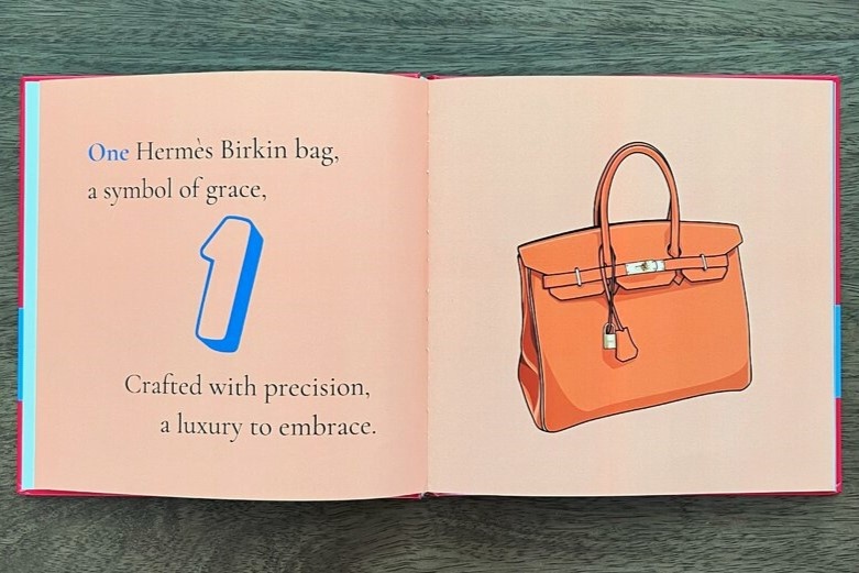 Sach day tre tap dem bang tui Hermes Birkin gay tranh cai hinh anh