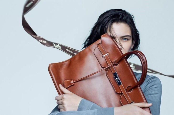 Hermes bi kien hinh anh