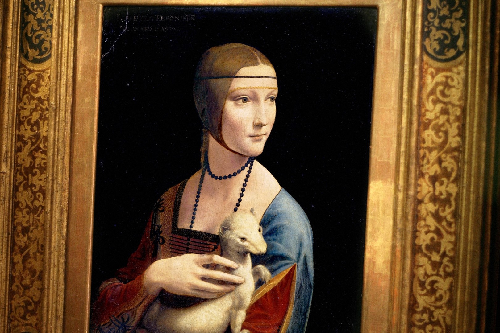 Bi mat tu buc tranh 500 nam tuoi cua Leonardo da Vinci hinh anh