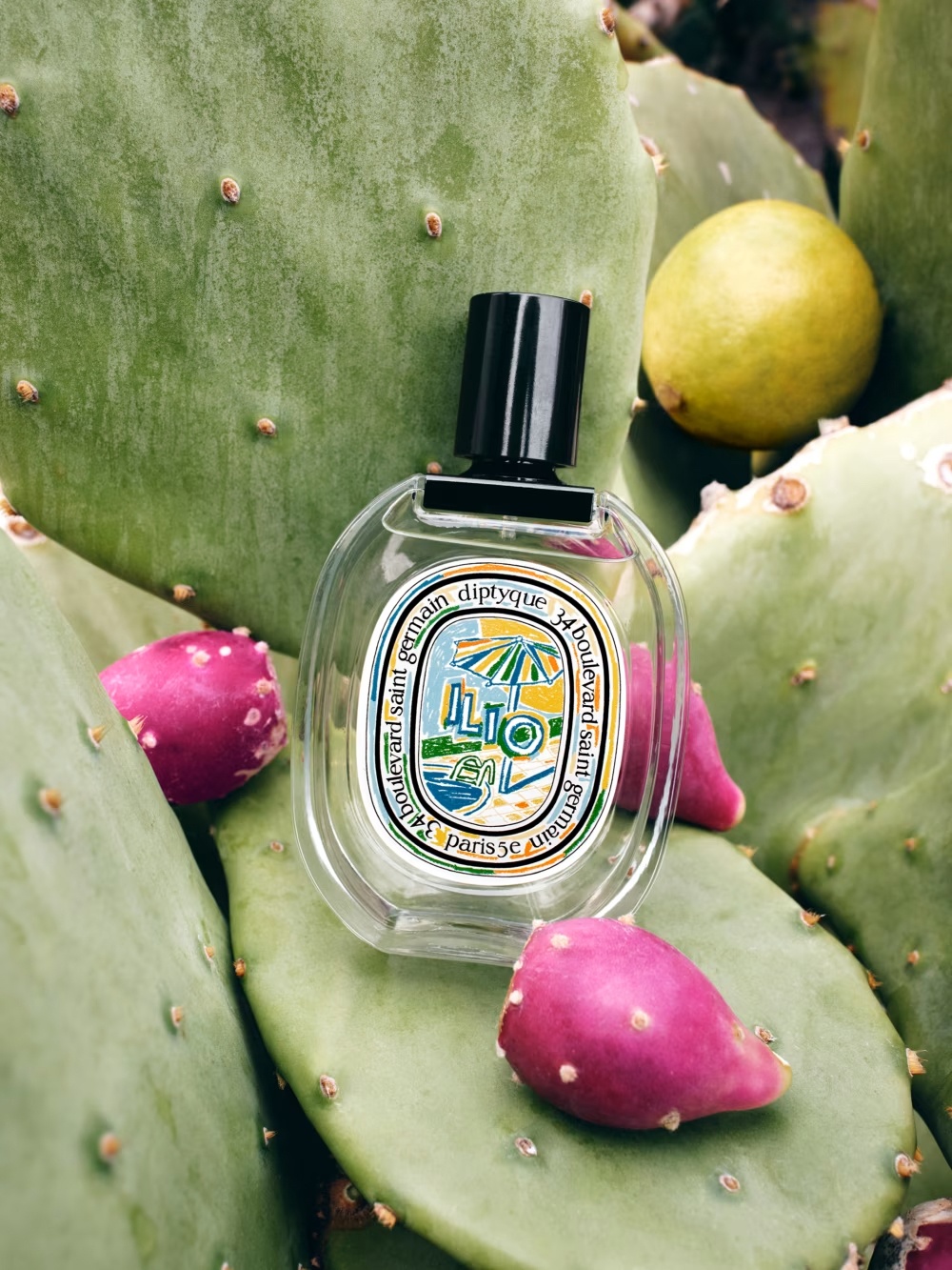 nuoc hoa mua he,  smartchoice znews,  mui huong nuoc hoa,  nuoc hoa nu,  nuoc hoa nam,  diptyque,  miami nectar,  joyphoria,  noyz sh**ty day,  sol de janeiro,  ilio eau de perfume anh 4