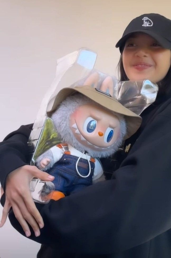 Labubu la gi,  blind box la gi,  blind box labubu,  pop mart,  labubu lisa,  art toy la gi,  do choi nghe thuat,  dap hop labubu anh 6