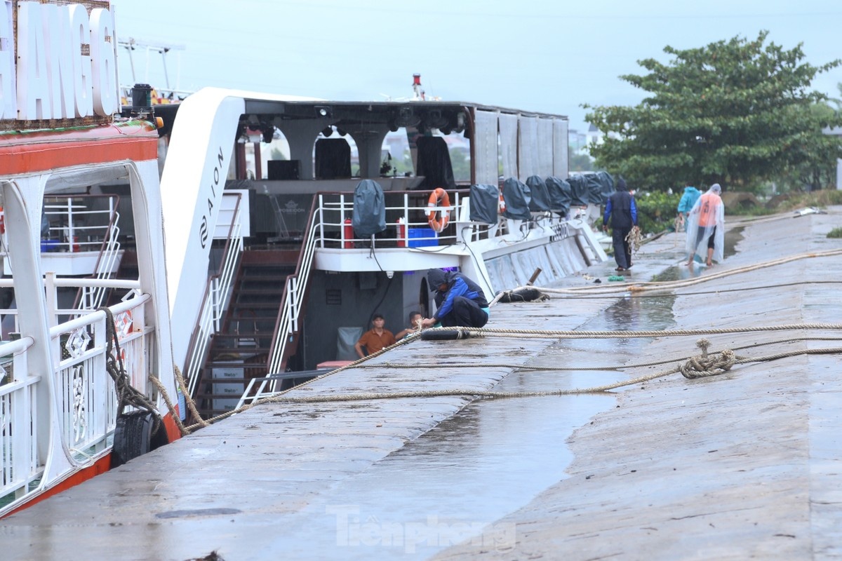 Da Nang tranh bao anh 12