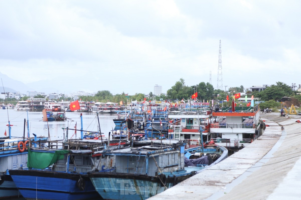 Da Nang tranh bao anh 1