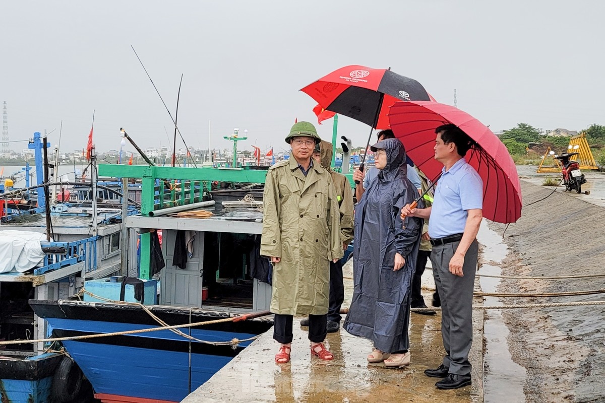 Da Nang tranh bao anh 15