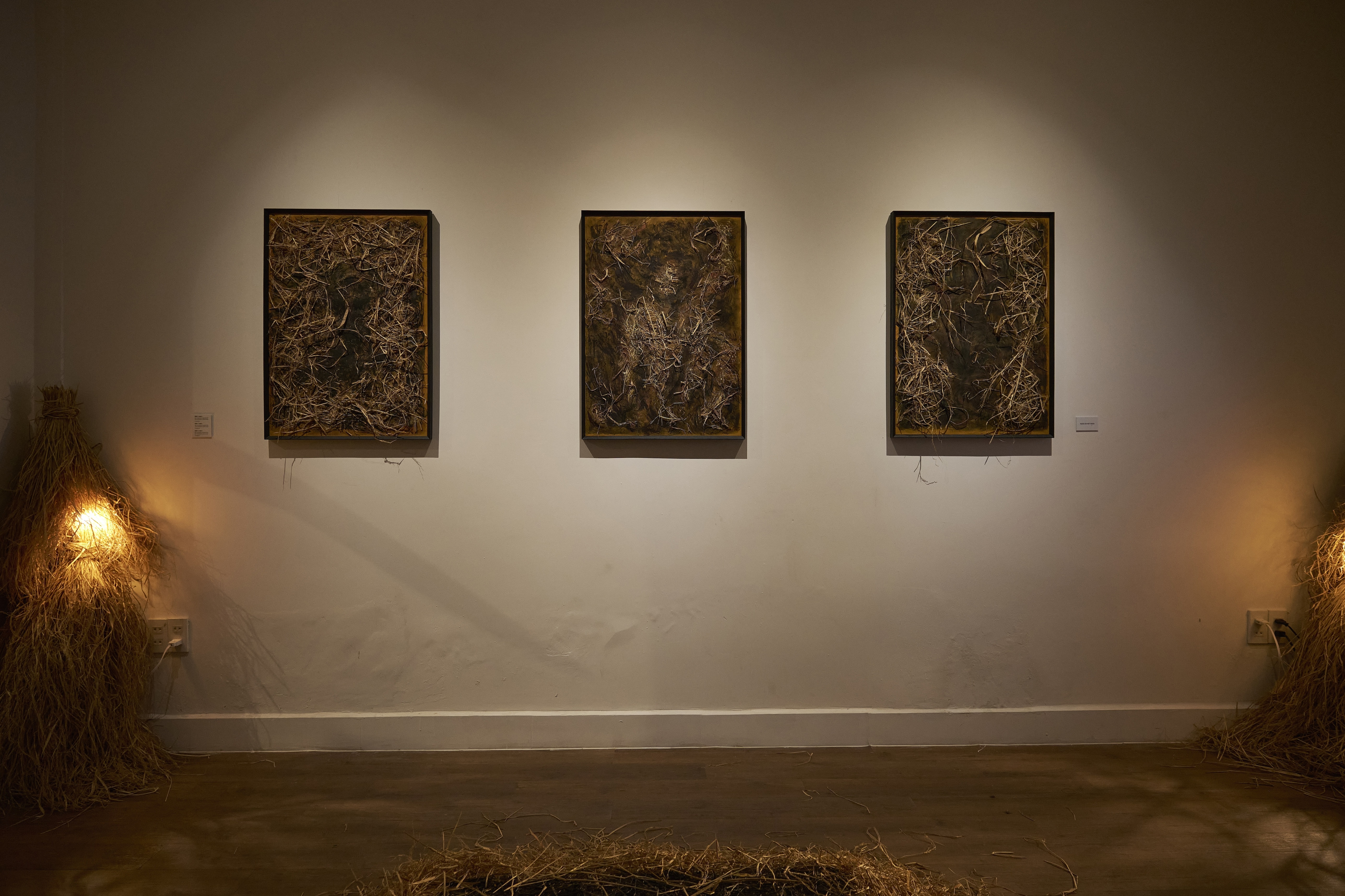 znews nghe thuat, trien lam 1 x 2,  Nguyen Ngoc Tuan,  triet ly phuong dong,  am duong tuong sinh anh 11