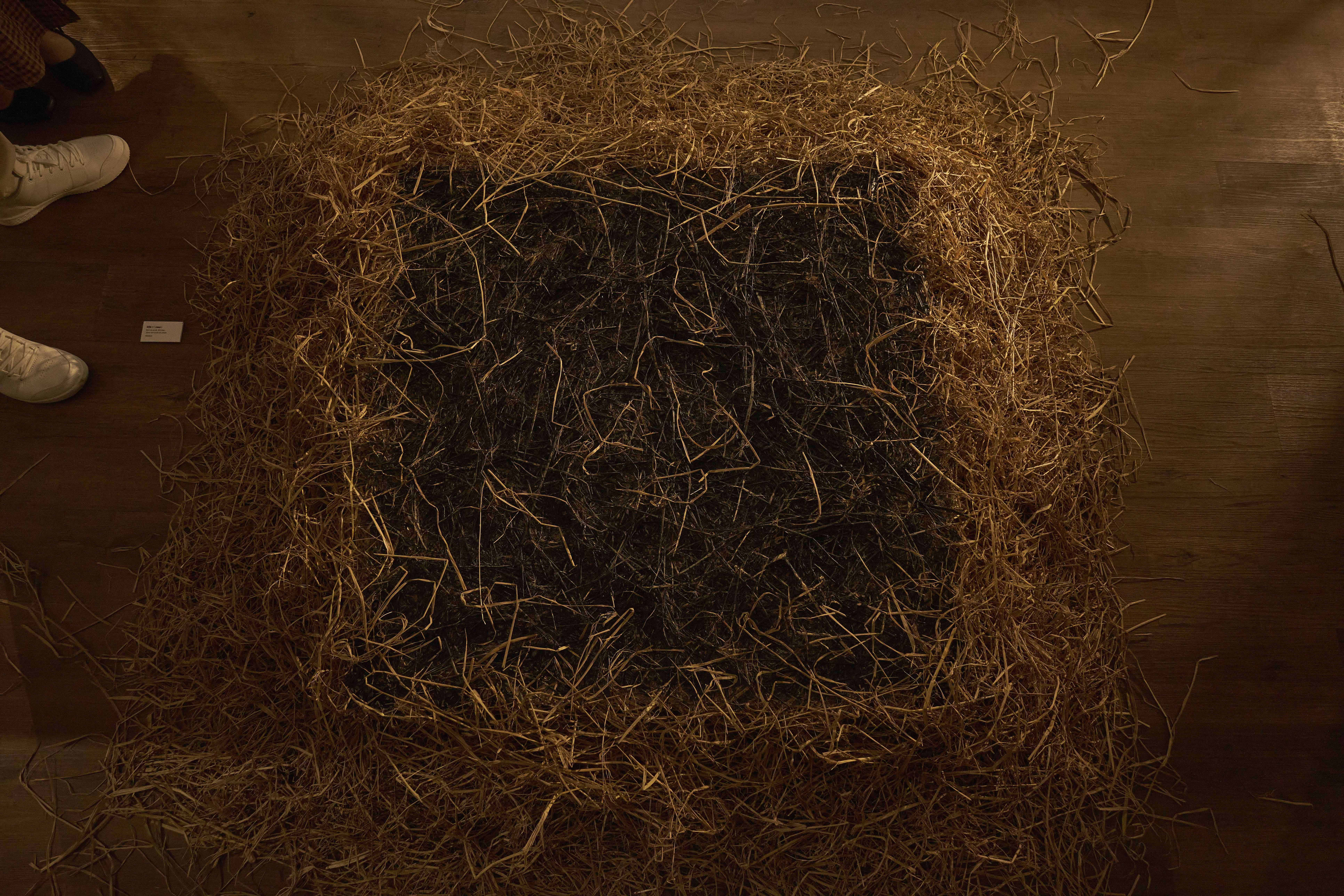 znews nghệ thuật, triển lãm 1 x 2, Nguyễn Ngọc Tuấn, triết lý phương đông, âm dương tương sinh ảnh 13 znews nghe thuat, trien lam 1 x 2, Nguyen Ngoc Tuan, triet ly phuong dong, am duong tuong sinh anh 13