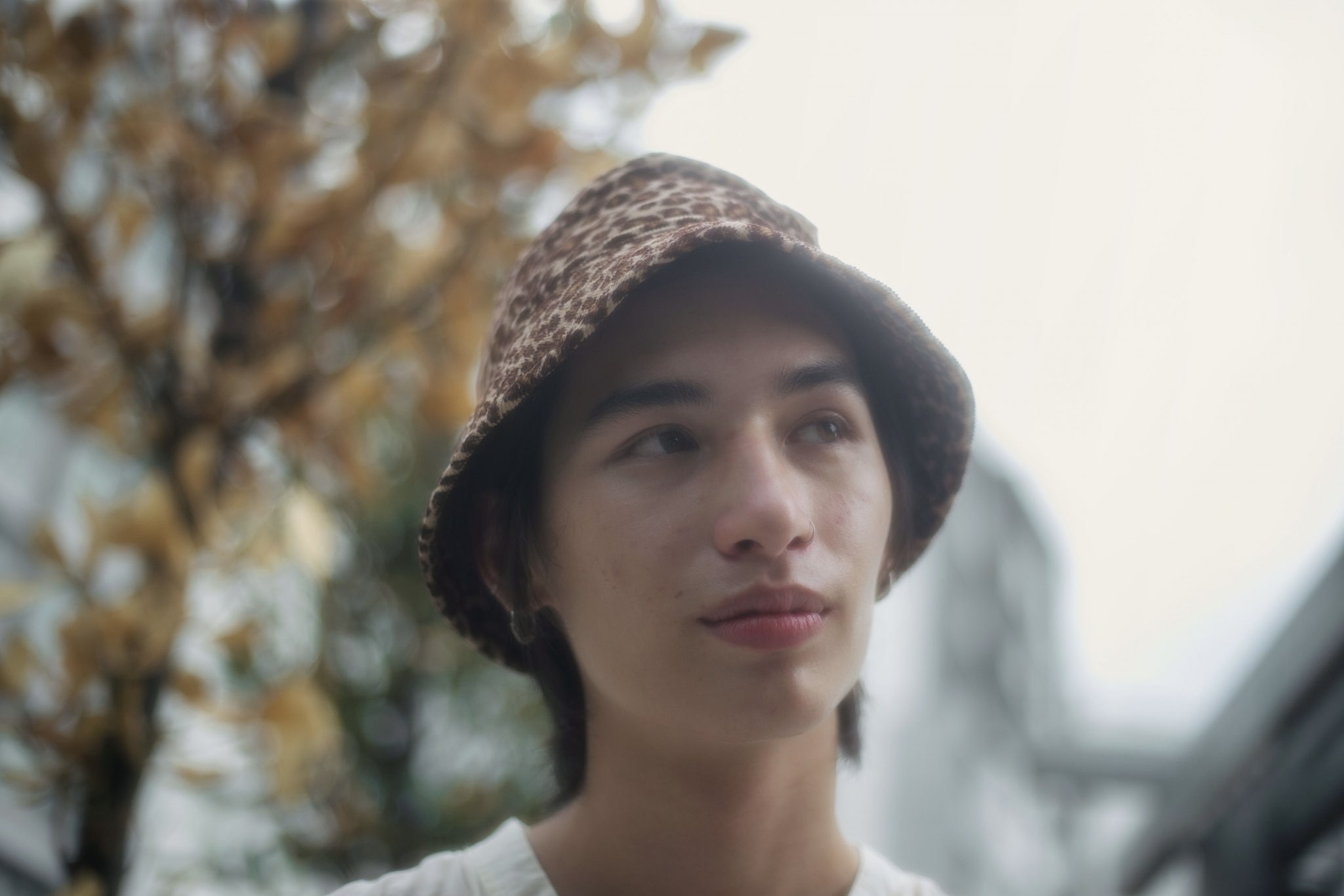 Dan ong Singapore tu nguyen 'e vo'? hinh anh