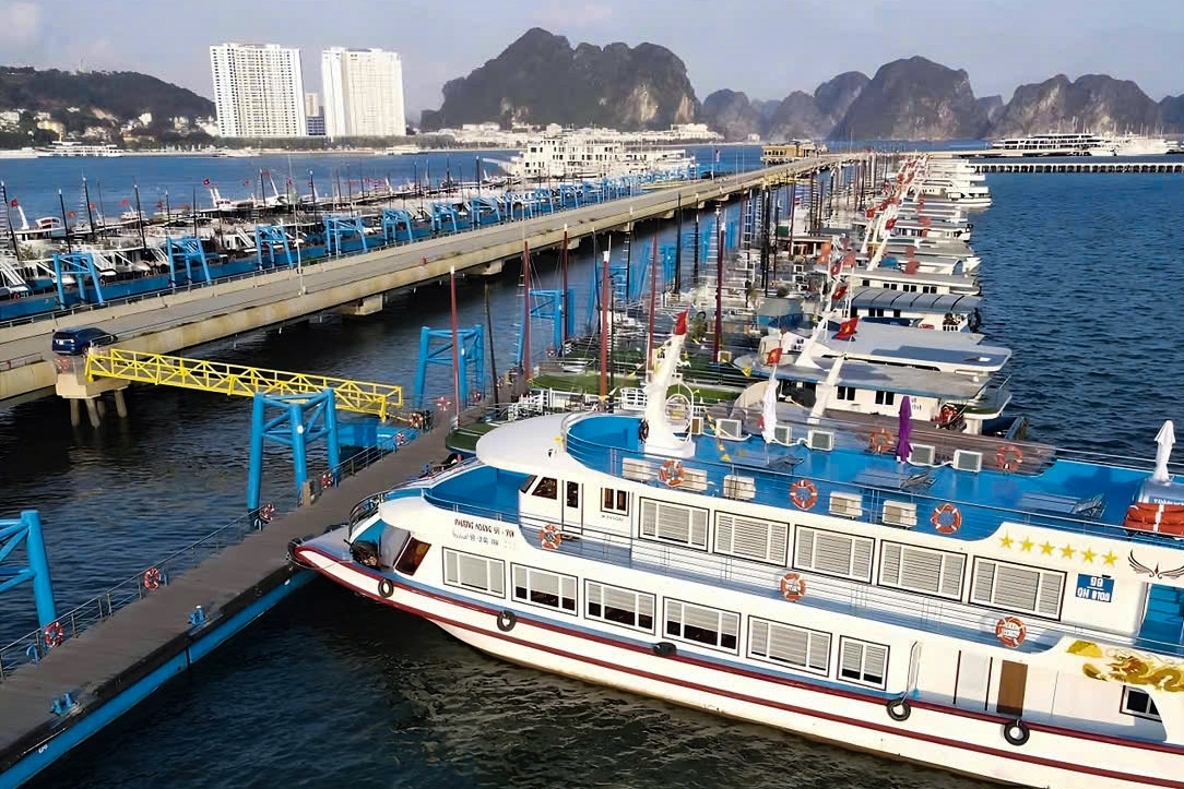 Sap khong con tau du lich vo go tren vinh Ha Long hinh anh