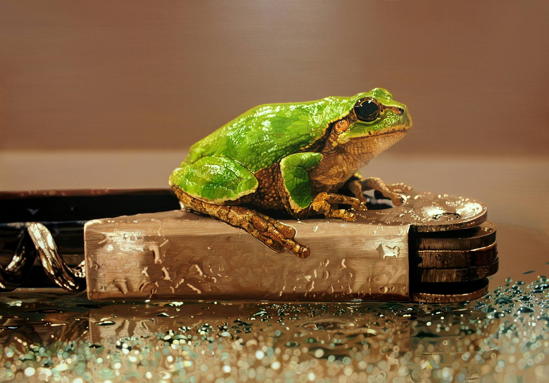 hoa si Han Quoc,  Young-sung Kim,  tranh ta thuc,  tranh sieu thuc, anh 3