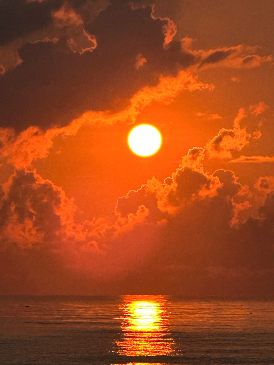 Trien lam Nguon Song,  Noirfoto,  Hoang Thi Bich Thao,  doanh nhan chup anh anh 4