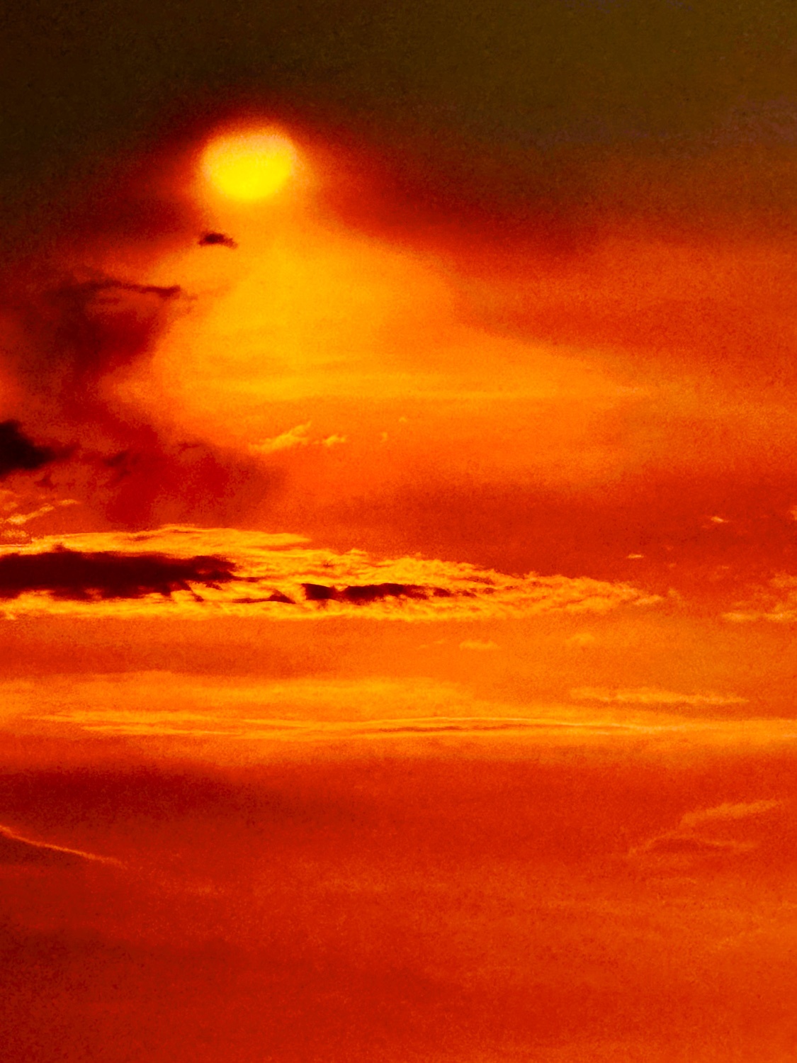 Trien lam Nguon Song,  Noirfoto,  Hoang Thi Bich Thao,  doanh nhan chup anh anh 5