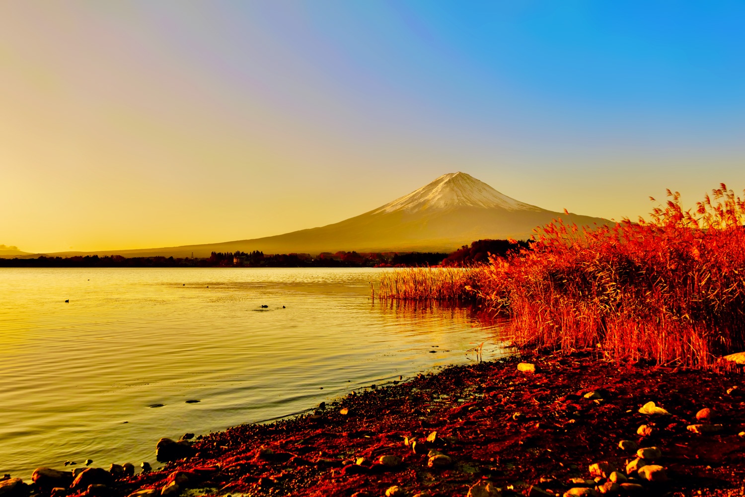 Trien lam Nguon Song,  Noirfoto,  Hoang Thi Bich Thao,  doanh nhan chup anh anh 10