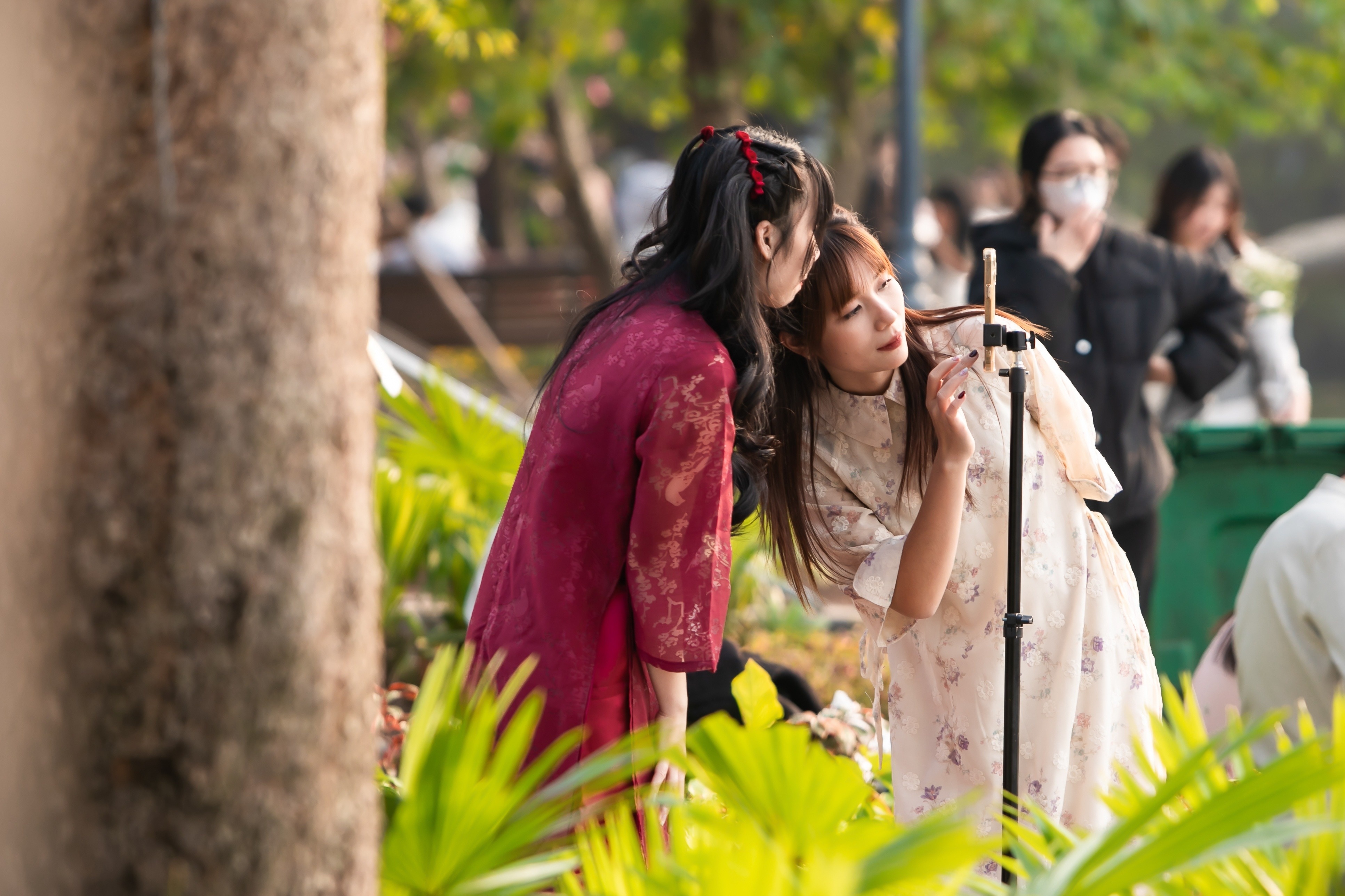 goi y qua tet,  mua qua tet,  qua du lich,  mua qua tet gi,  bieu qua tet,  tet 2025, anh 1