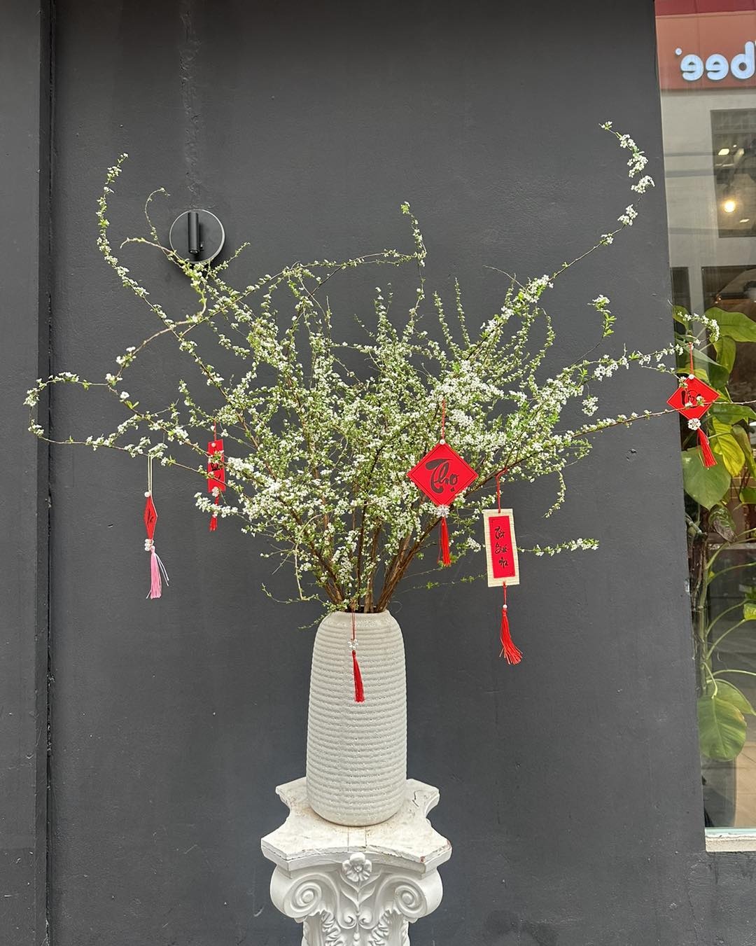 qua tet 2025,  goi y qua tet,  qua tet 500k,  qua tet 500.000 dong,  mua qua tet,  znews qua tet anh 7