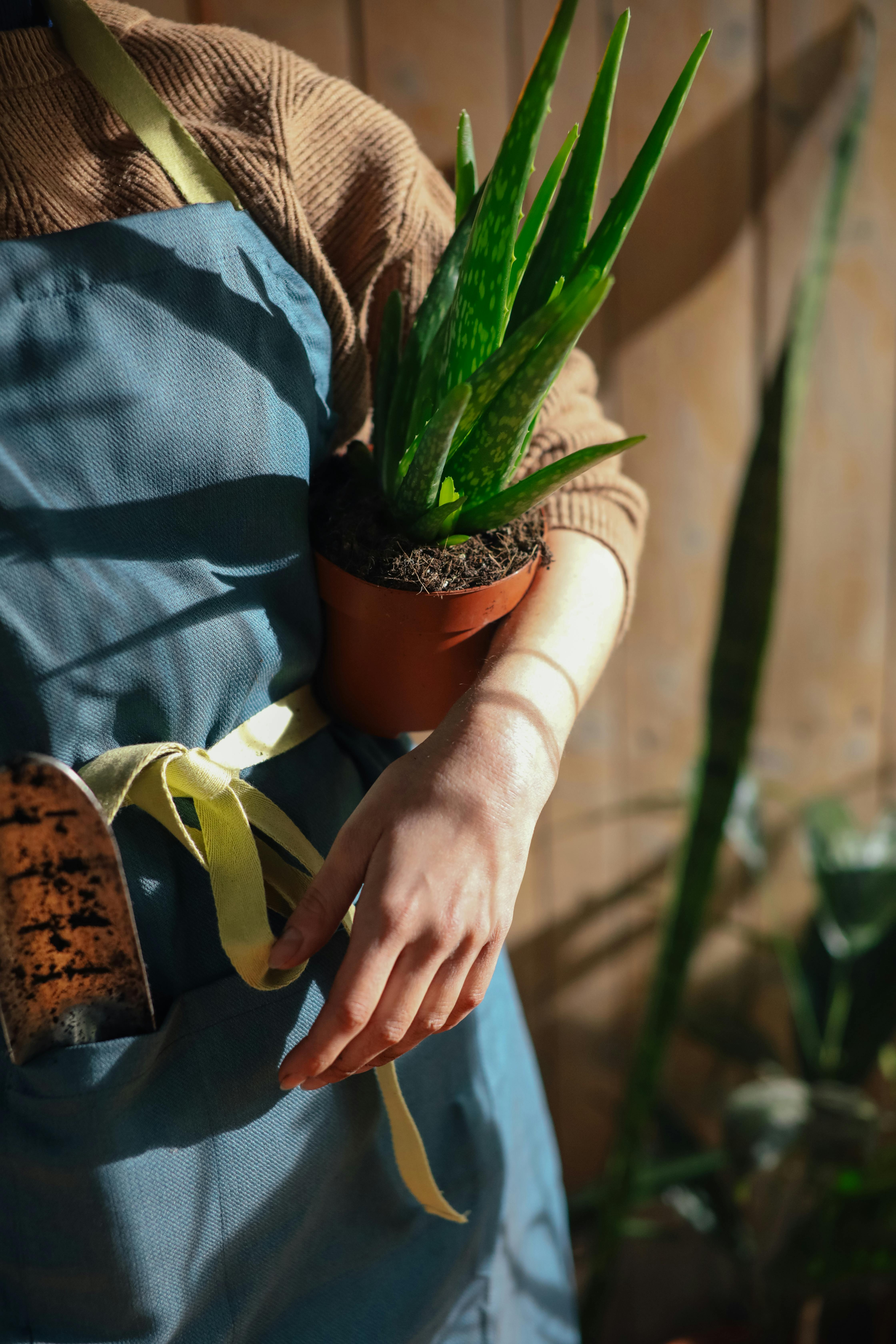 trong nha dam trong nha, nha dam tri mun,  cong dung nha dam,  Dove, Cham soc da Summer 2025, phuc hoi hu ton da, cham soc da mem min,  duong trang, cham soc da ben trong,  cham da mem min anh 3