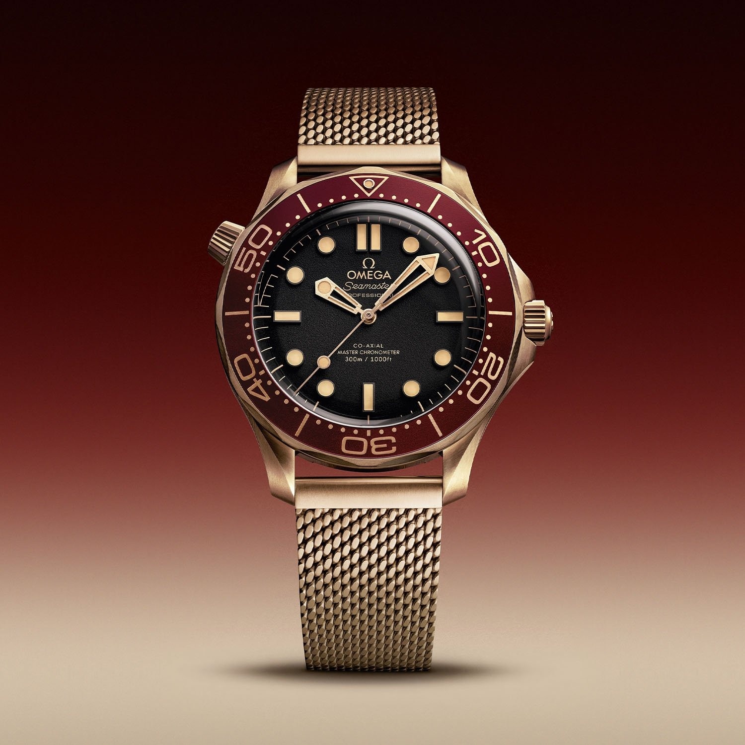 Omega_Seamaster_Diver_300m_Bronz_3_.jpg