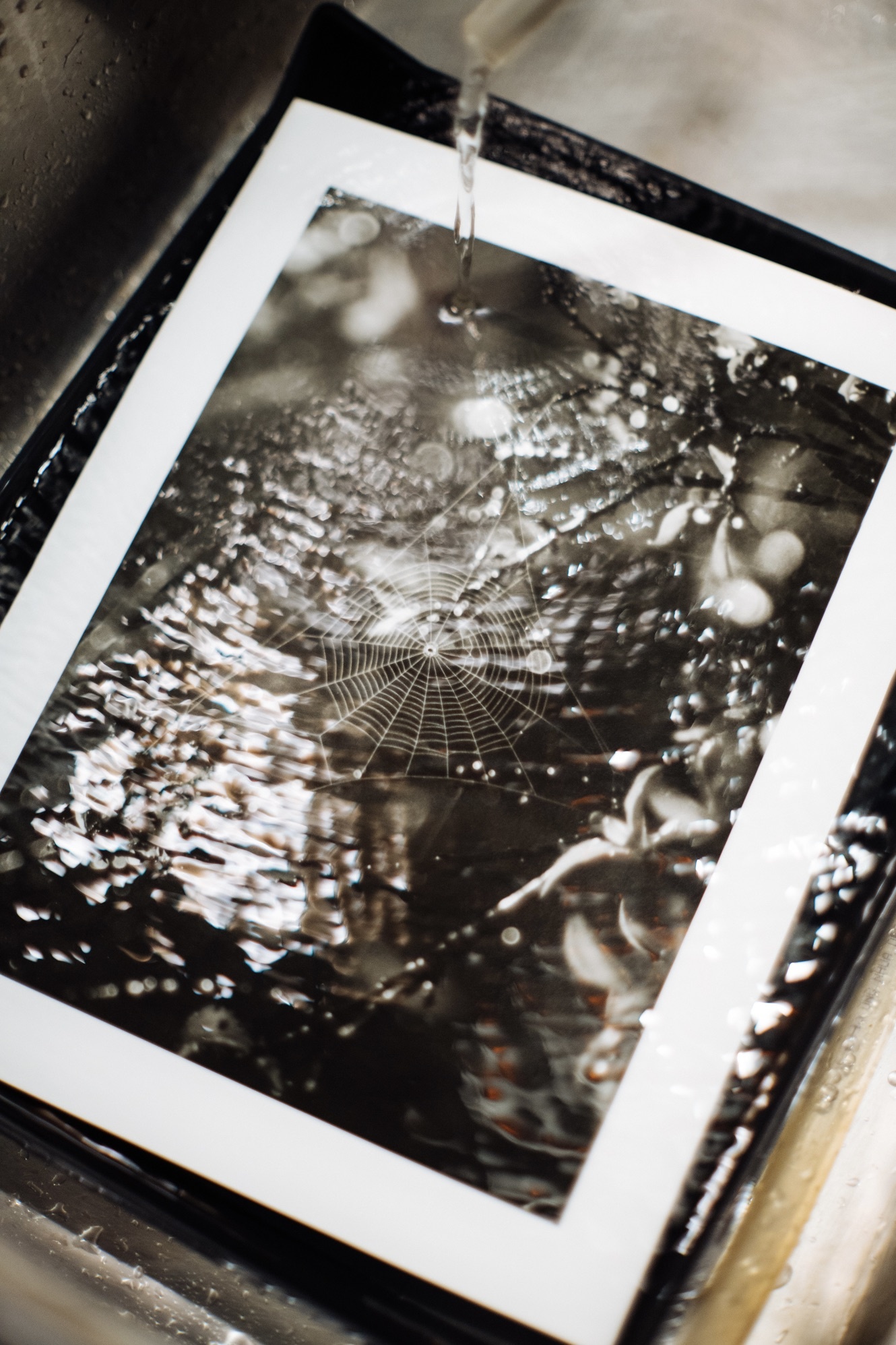 Triển lãm NỐI, Noirfotocontest2024, Noirfotocontest, Noirfoto, rọi ảnh thủ công, kỹ thuật rọi ảnh, triển lãm tp.hcm, triển lãm nối, nối Noirfotocontest ảnh 6 Trien lam NOI, Noirfotocontest2024, Noirfotocontest, Noirfoto, roi anh thu cong, ky thuat roi anh, trien lam tp.hcm, trien lam noi, noi Noirfotocontest anh 6