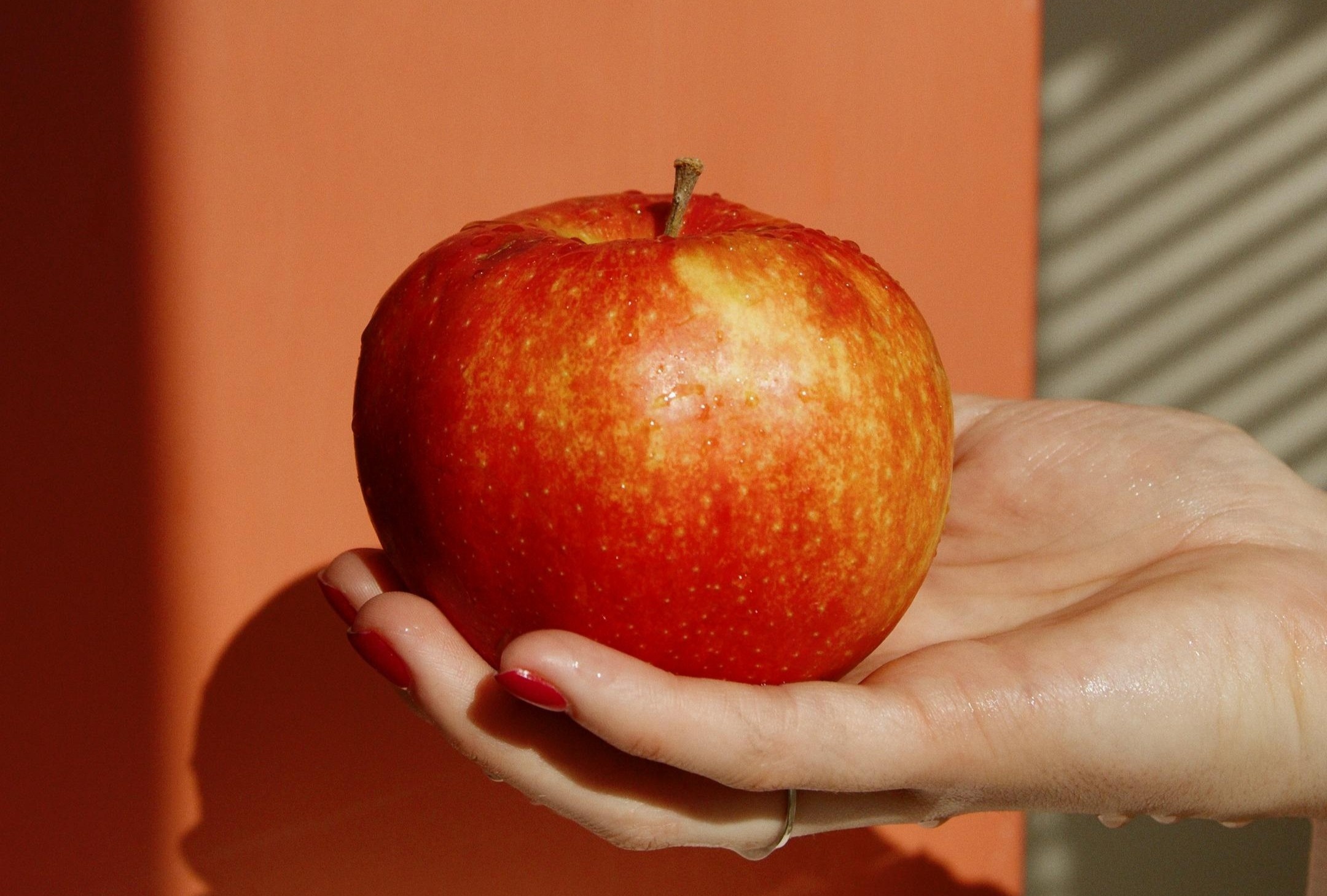 Loi ich khi an mot qua tao moi ngay hinh anh