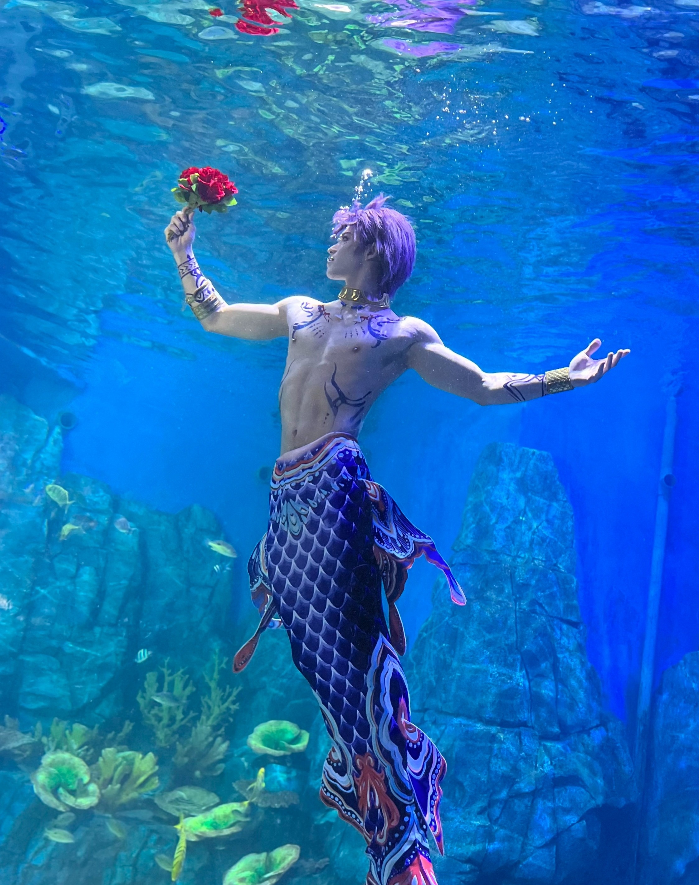 chang tien ca,  chang tien ca,  Xiao Songyi 6 mui,  nguoi ca 22 tuoi,  thuy cung Vu Han,  bieu dien nguoi ca anh 1