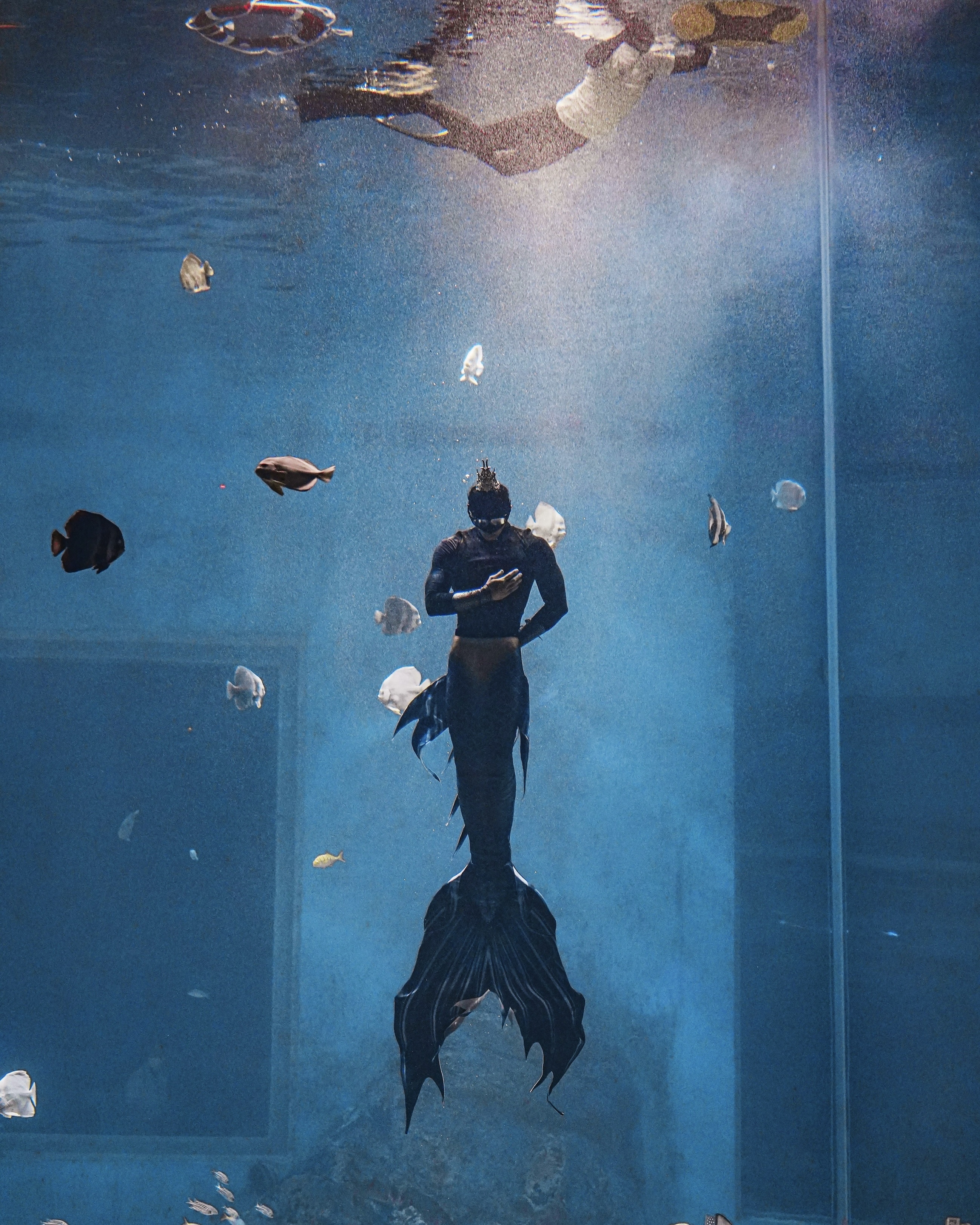 chang tien ca,  chang tien ca,  Xiao Songyi 6 mui,  nguoi ca 22 tuoi,  thuy cung Vu Han,  bieu dien nguoi ca anh 4