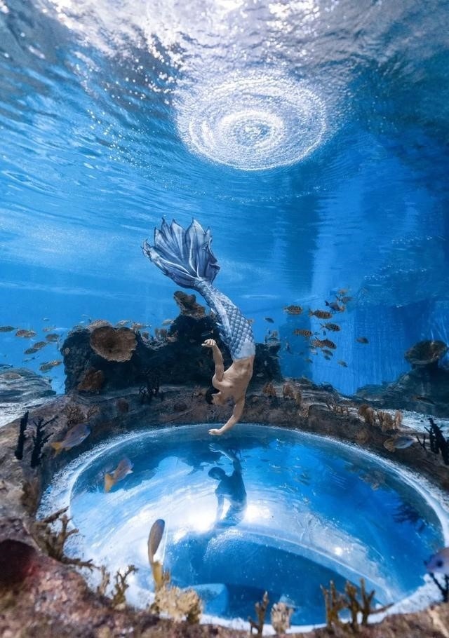 chang tien ca,  chang tien ca,  Xiao Songyi 6 mui,  nguoi ca 22 tuoi,  thuy cung Vu Han,  bieu dien nguoi ca anh 5