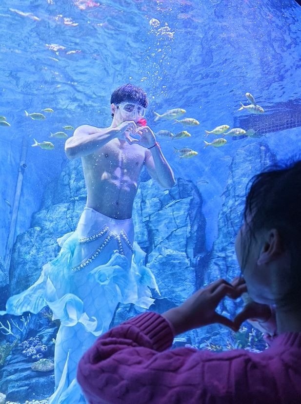 chang tien ca,  chang tien ca,  Xiao Songyi 6 mui,  nguoi ca 22 tuoi,  thuy cung Vu Han,  bieu dien nguoi ca anh 8