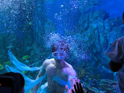 chang tien ca,  chang tien ca,  Xiao Songyi 6 mui,  nguoi ca 22 tuoi,  thuy cung Vu Han,  bieu dien nguoi ca anh 10