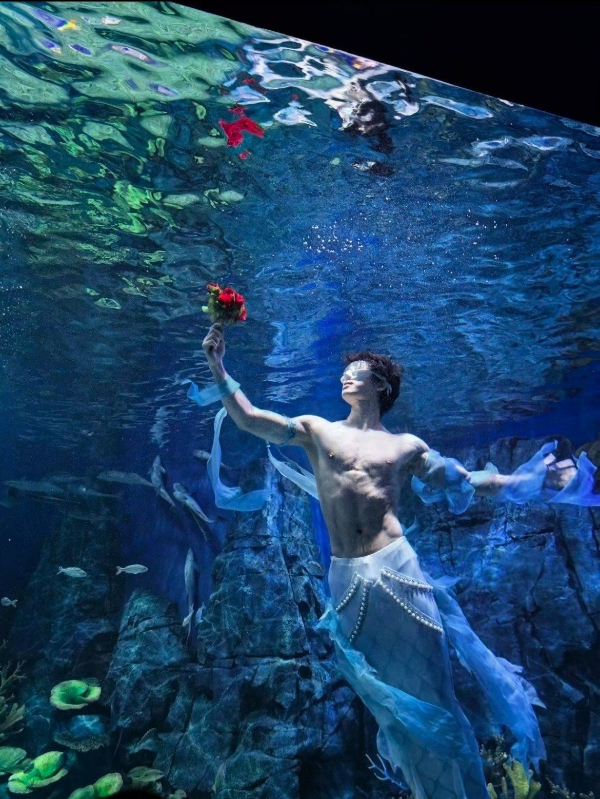 chang tien ca,  chang tien ca,  Xiao Songyi 6 mui,  nguoi ca 22 tuoi,  thuy cung Vu Han,  bieu dien nguoi ca anh 2