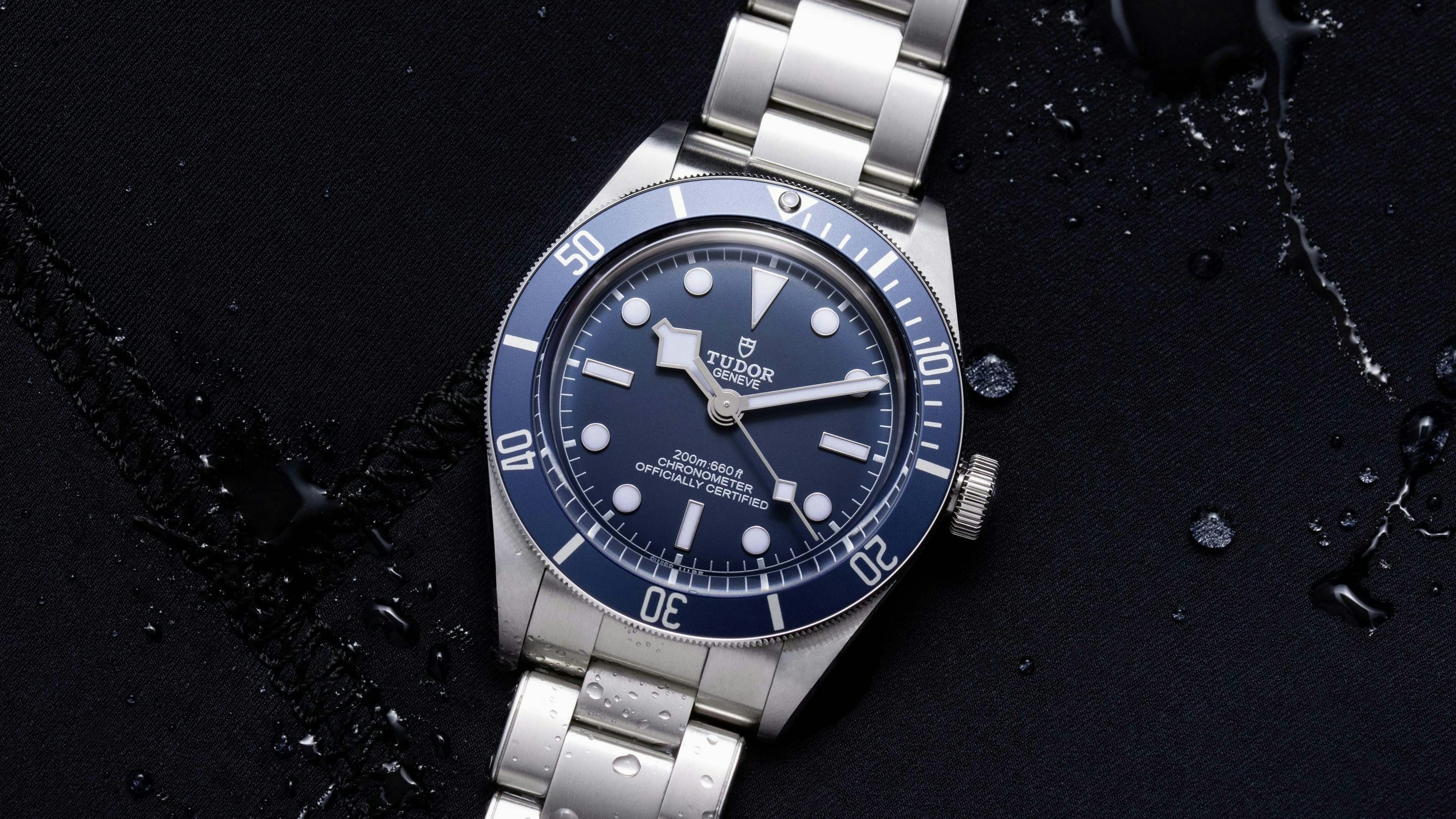 bb58_blue_tudor_hero.jpg