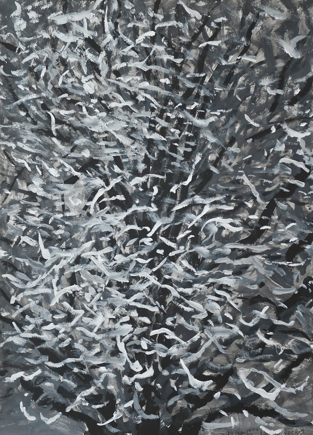 cay bach qua,  Choi anh 3