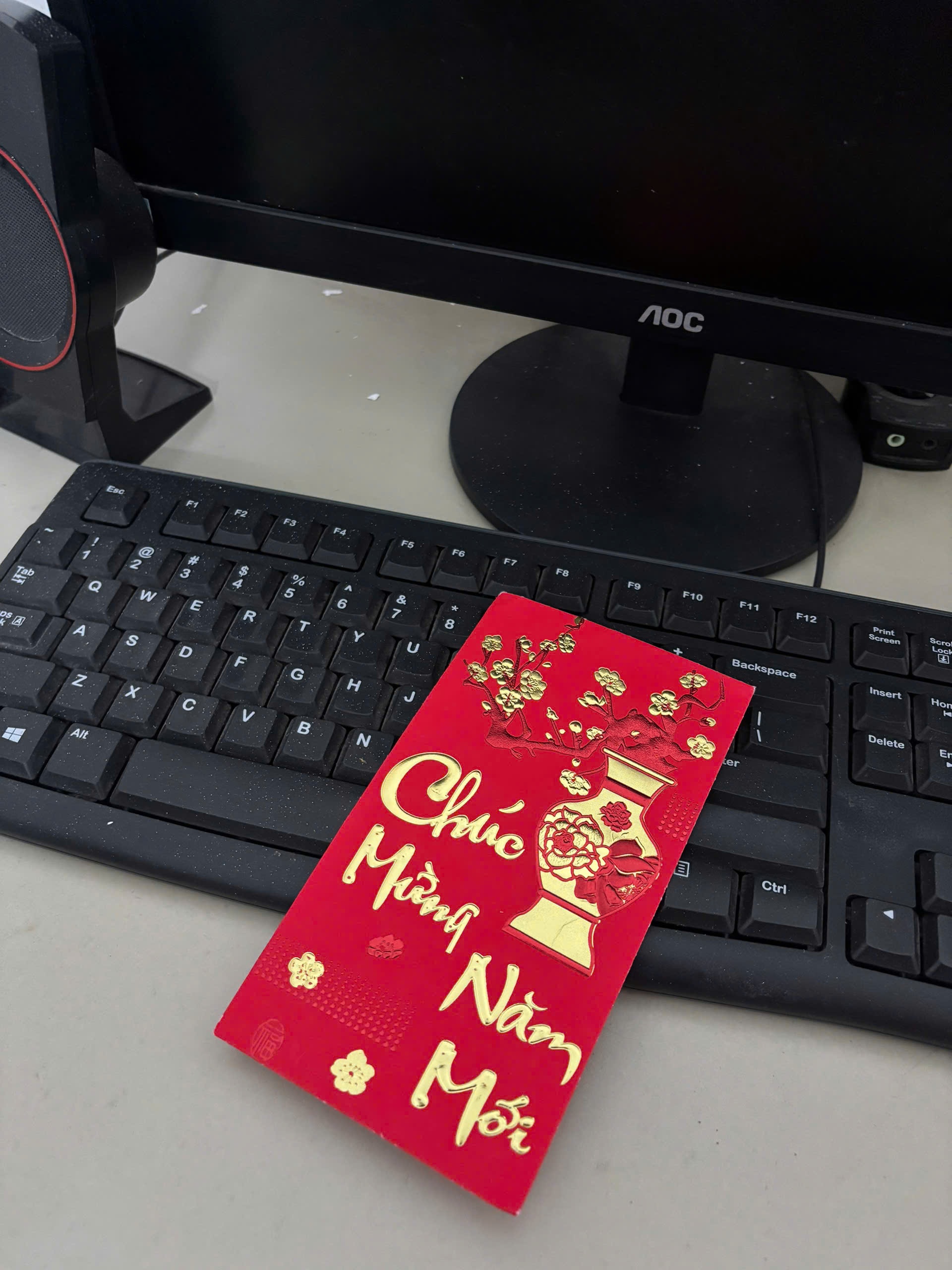 li xi,  dau nam,  tp,  tp.hcm,  di lam anh 1