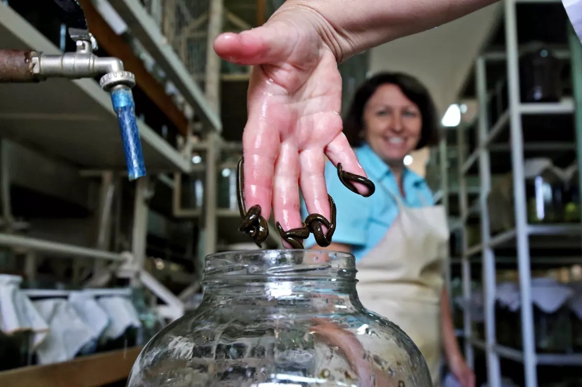 cong viec,  bien mat,  nghe,  Nguoi bao thuc anh 6