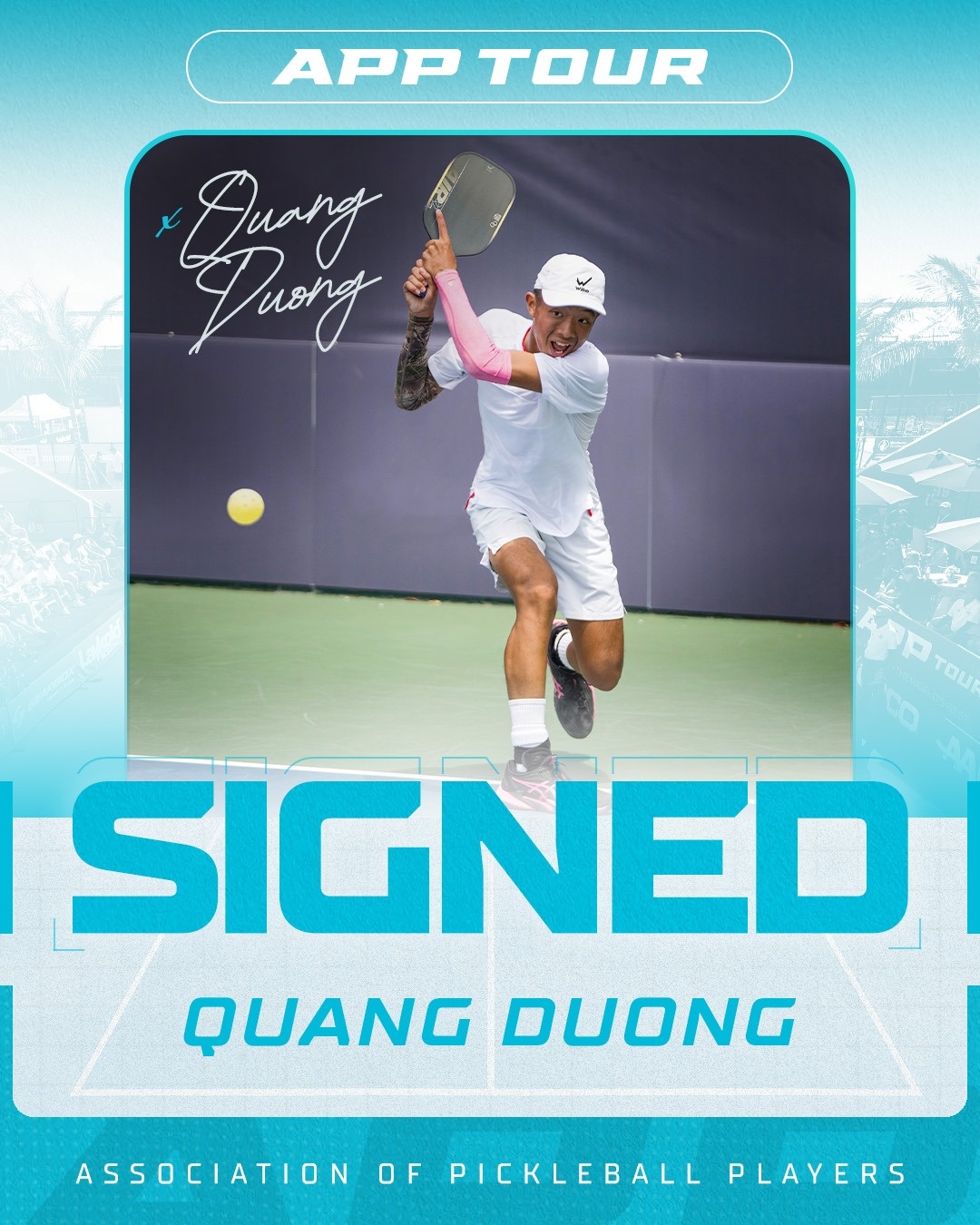 quang duong,  APP,  PPA,  t,  UPA anh 1