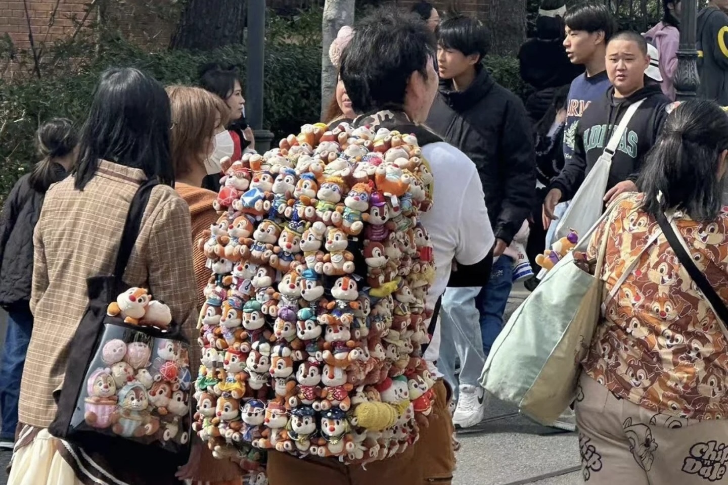 Trao luu tui 'sieu gau bong' tro lai hinh anh