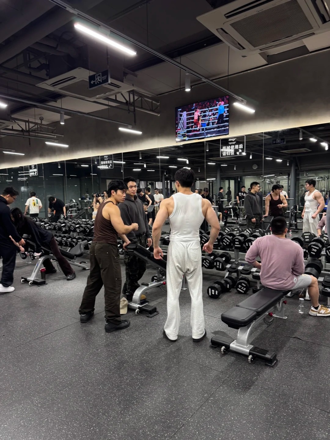 tre,  tap gym,  gen z,  fitness,  nhau anh 1